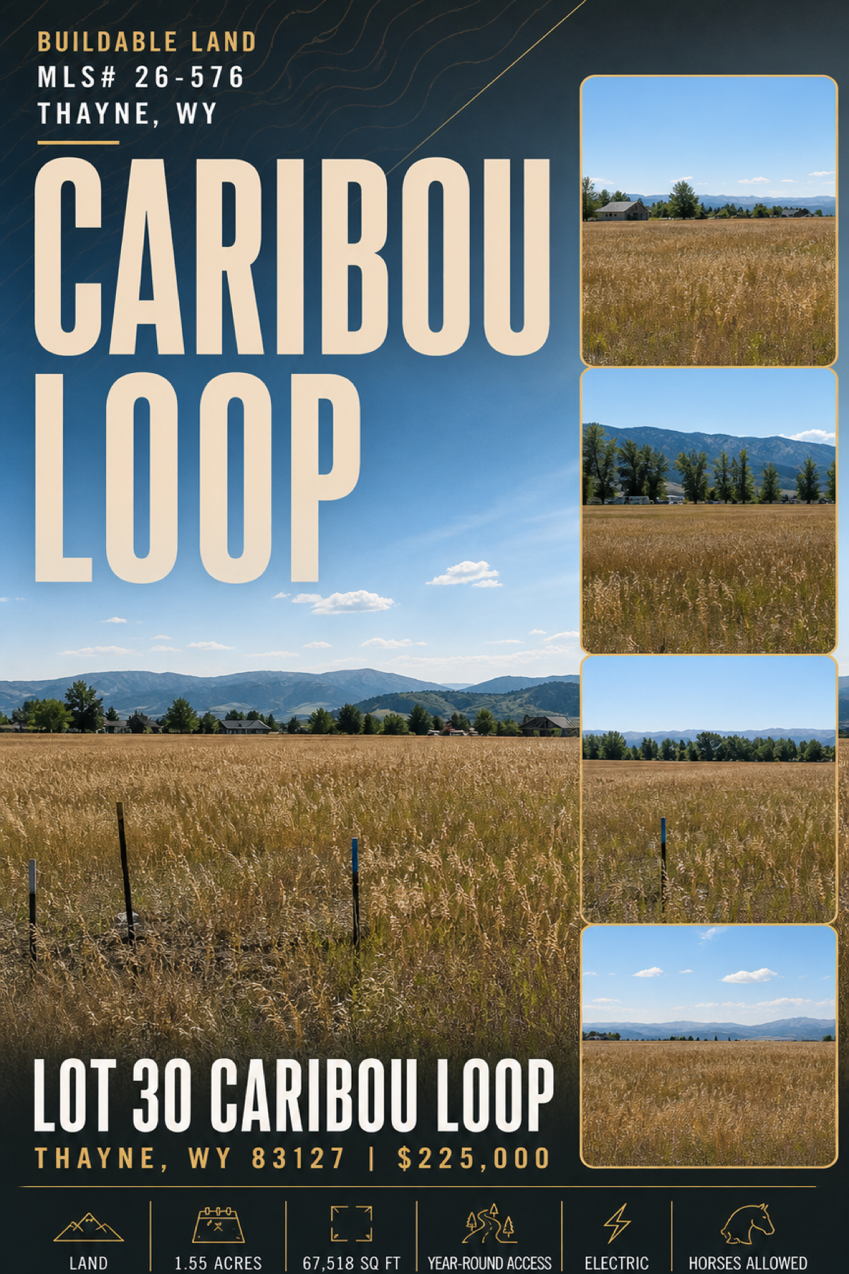 LOT 30 CARIBOU Loop listing poster
