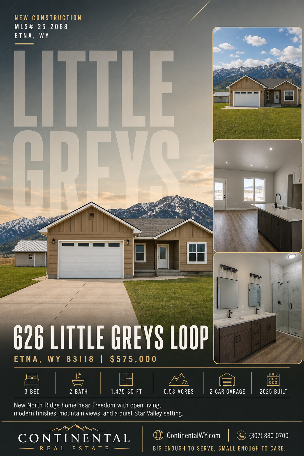 626 LITTLE GREYS Loop premium listing poster